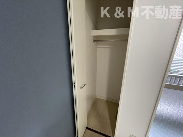 グランルージュＮ馬橋の収納|小物を収納するのに便利です