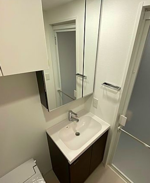 バウスフラッツ品川キャナルサイドの洗面所