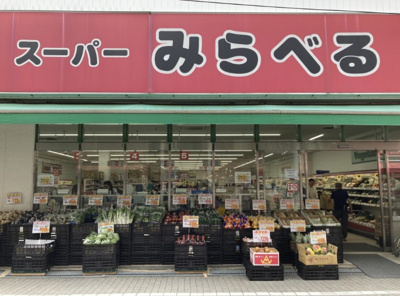 【周辺】 | メゾン新江古田
