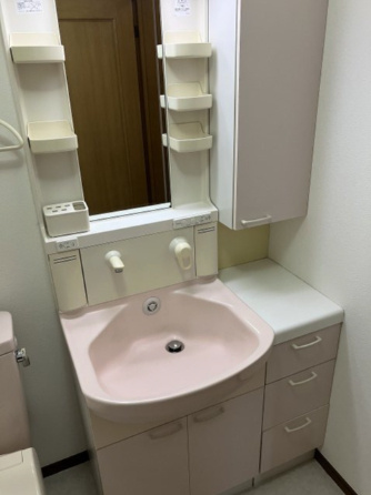 メゾンヴァンベールの洗面所