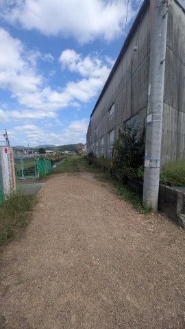 土地　高木の外観
