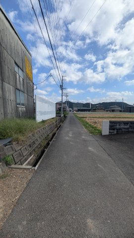 土地　高木の前面道路含む現地写真