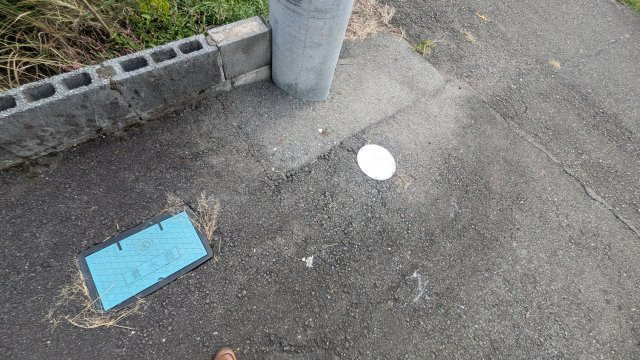 土地　高木のその他
