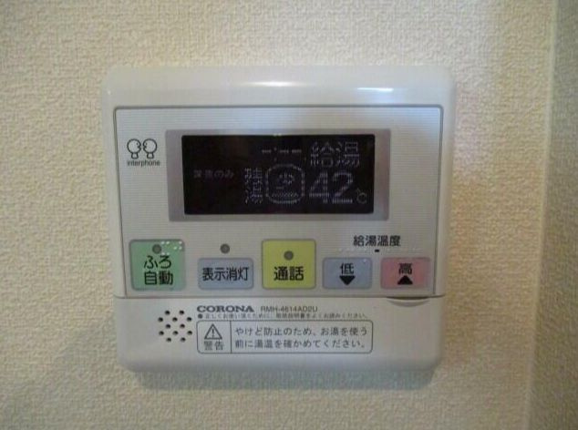 セルバコスタのその他