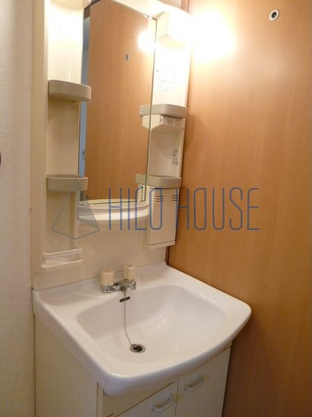 メゾンタチバナの洗面所