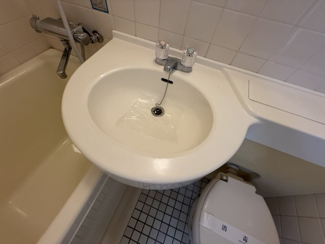 メゾン豊中パート22の洗面所