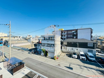 【展望】 | Lunaria