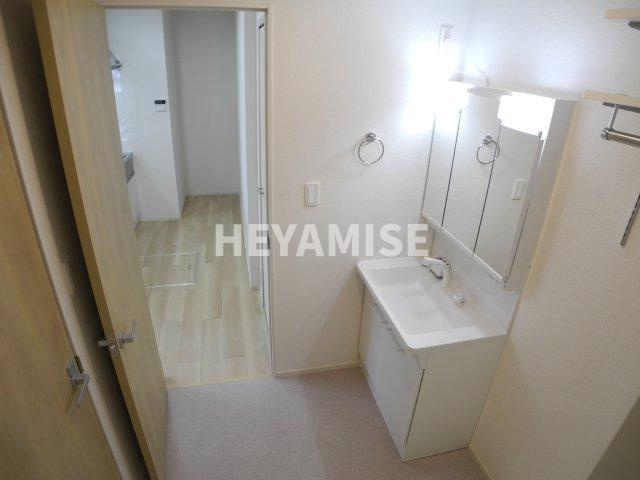 TKY　ヴィレッジAの洗面所