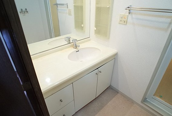 シュネルパークレジデンスの洗面所