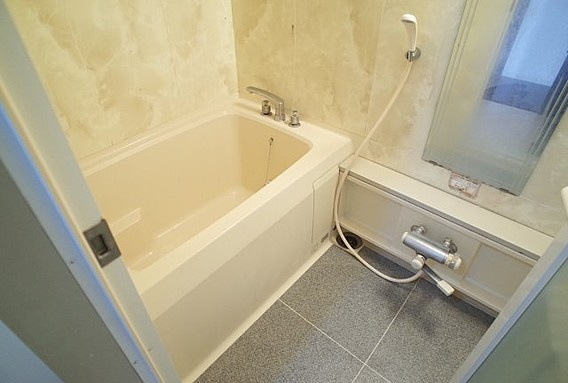 シュネルパークレジデンスの浴室