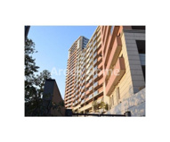 グランドメゾン星が丘山手A棟の画像