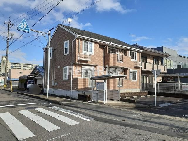 ナリッシュ　Ｍ