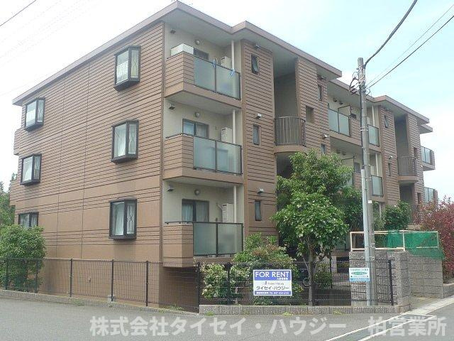 ピアーヒルズダイモン