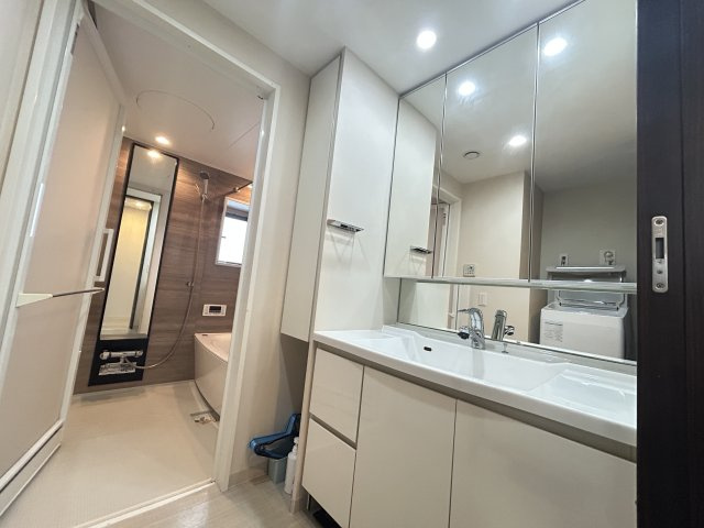 【独立洗面台】の画像