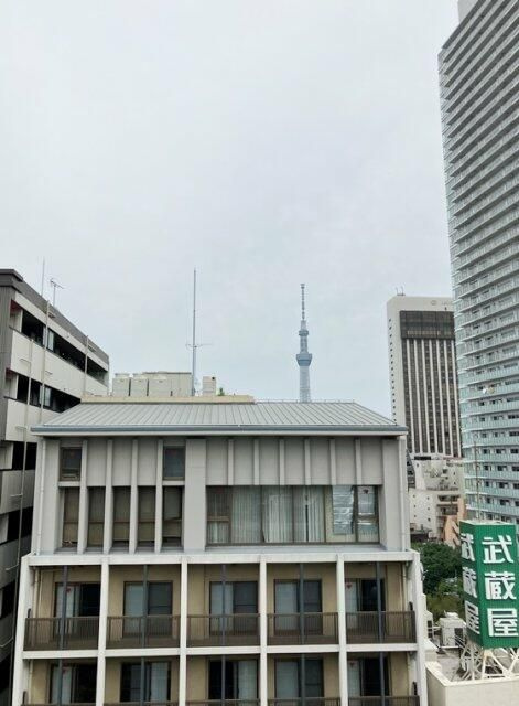 シティ・フィールド上野ナンバー・1の展望