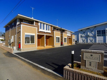 ビッグ・ツリー　ⅡＡの画像