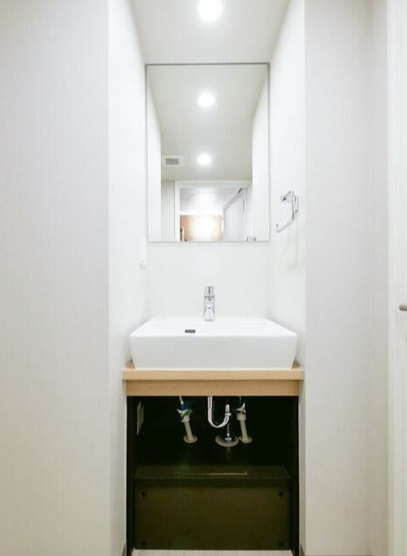 ラクラス中野南台の洗面所