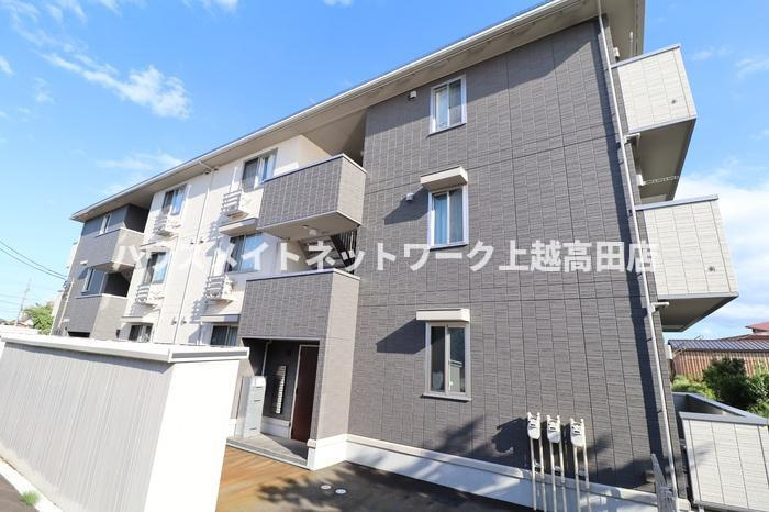 アグレッシブファイン