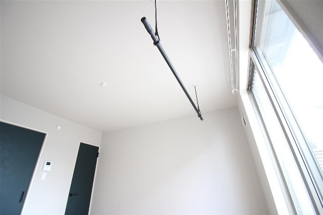 アウローラのその他