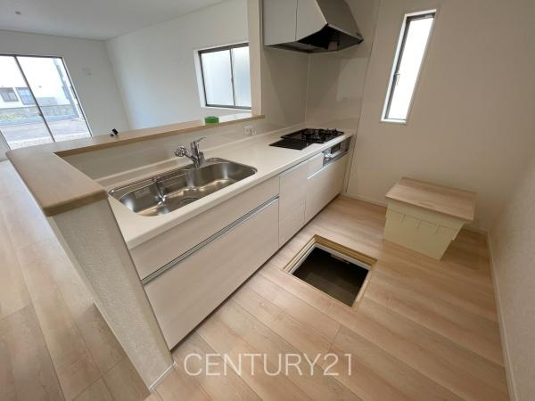 前橋市下細井町第１０（３号等）のキッチン|シンクも大きく洗い物もしやすい浄水器付。シャワーヘッドは引き出し可能、シンクの隅々まで洗い流せます。