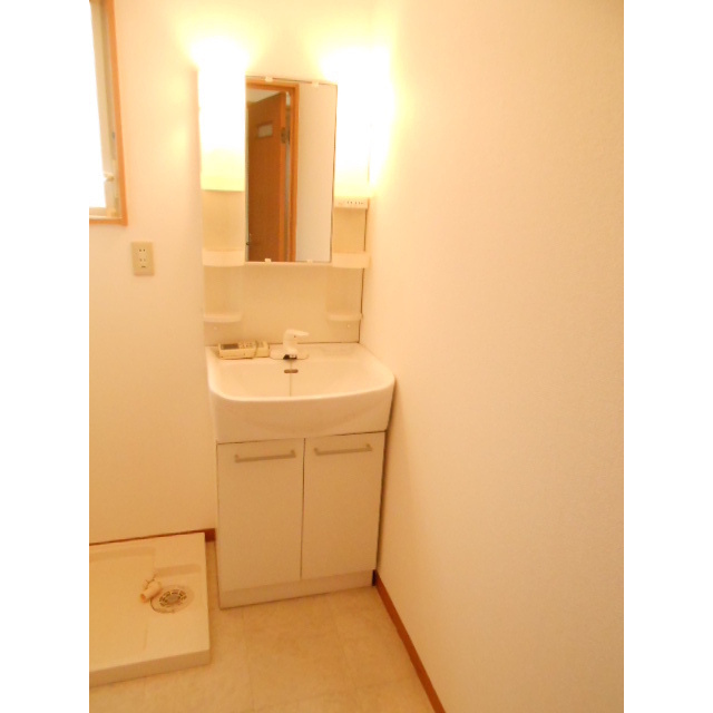 瑞穂市野白新田の一戸建ての洗面所