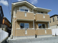 エヌ　プラシードの画像