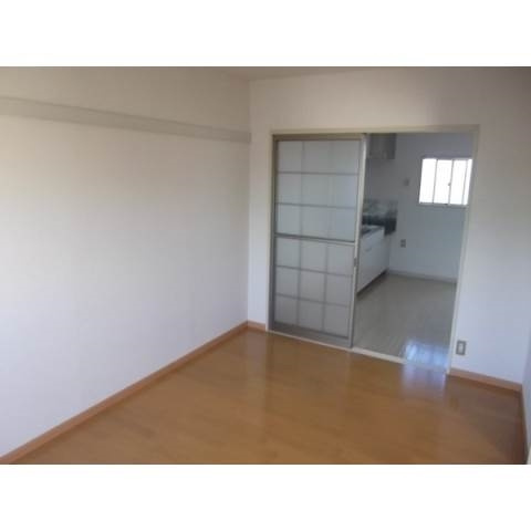 エバーグリーン　Ａのその他