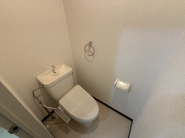 フラッツ・アイのトイレ