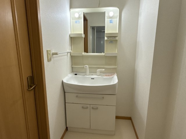 メゾン　ド　リジェールＮの洗面所