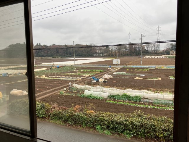 川越市下赤坂　店舗事務所の庭