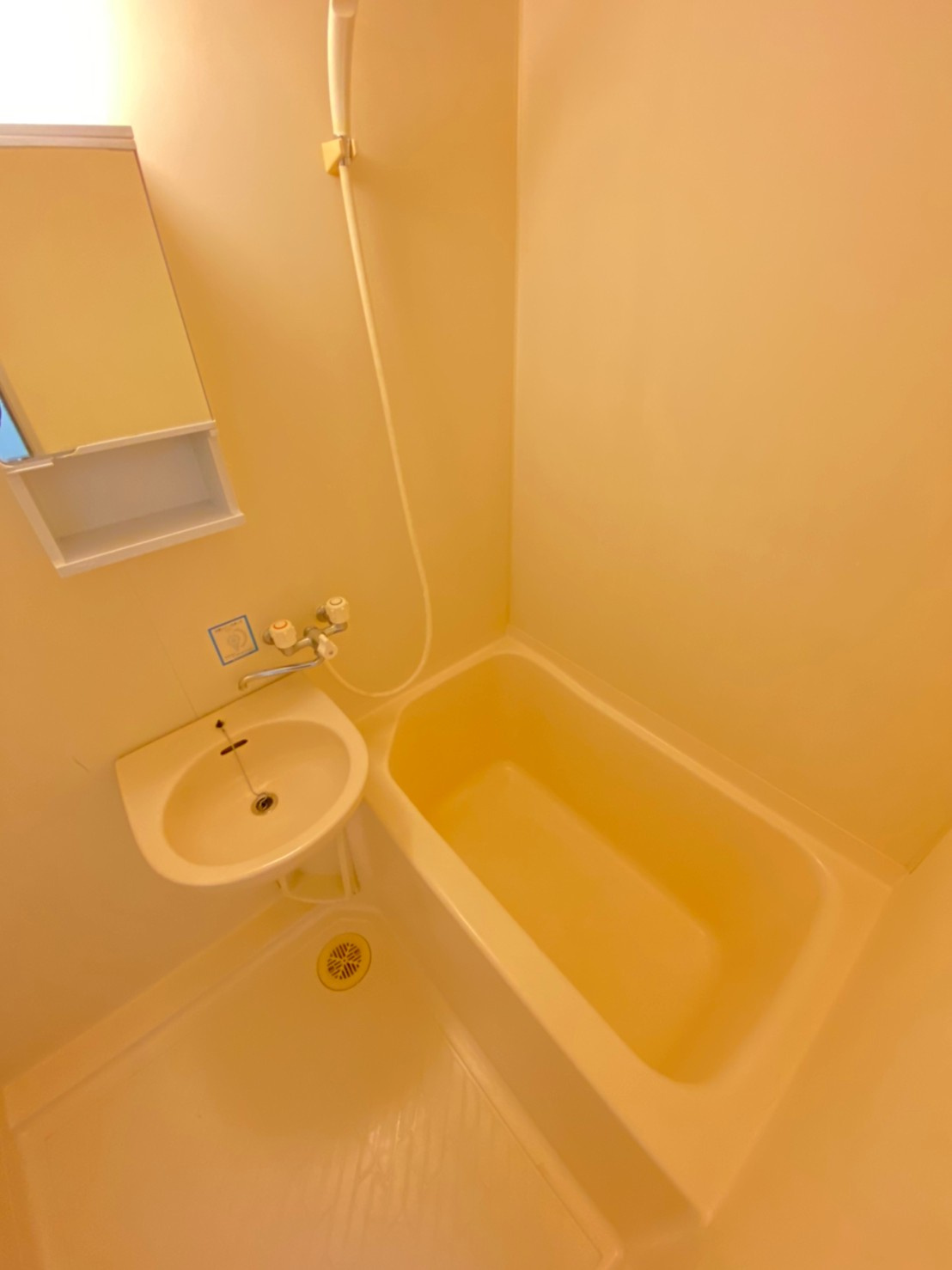 ユニックス神戸西の洗面所