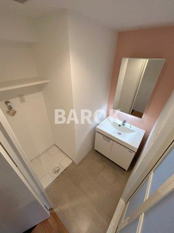 アガスティーア薬院の洗面所