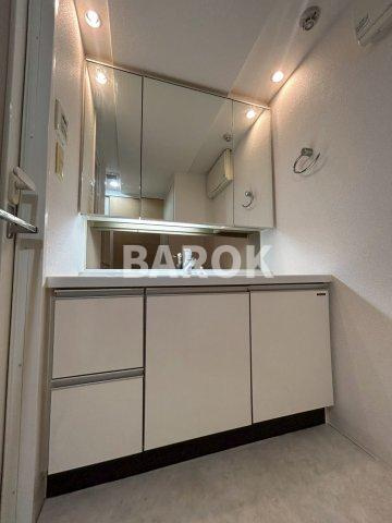 ウェルリバービュー天神の洗面所