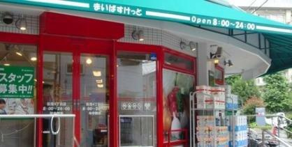 パインホームズ多摩川Ⅲの周辺