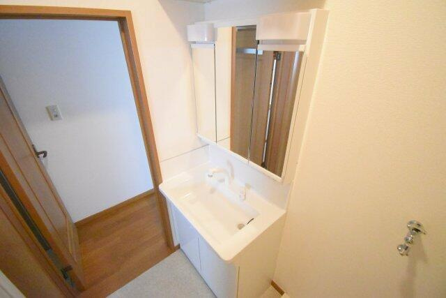 パインホームズ多摩川Ⅲの独立洗面台