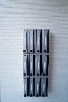 リブリ・フェリスのその他