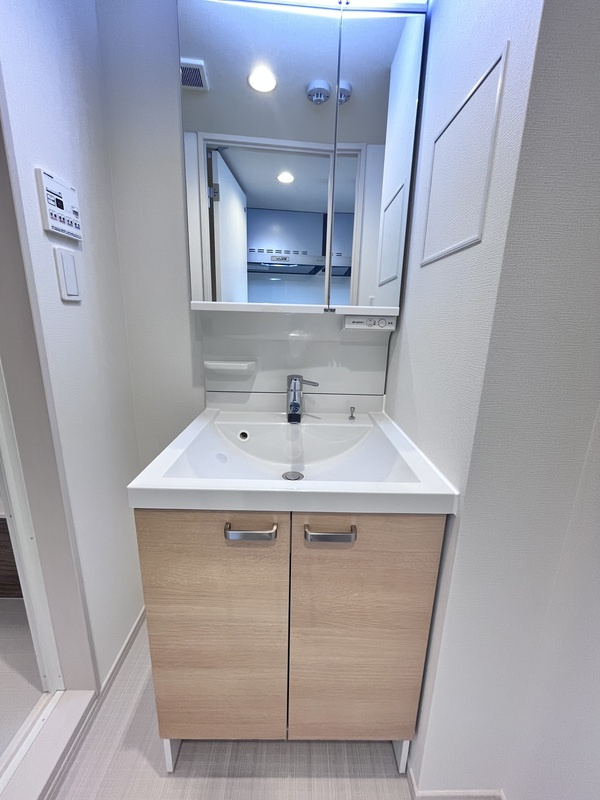 リブリ・さいたま新都心Ⅱの洗面所|スペースが確保できる洗面所です