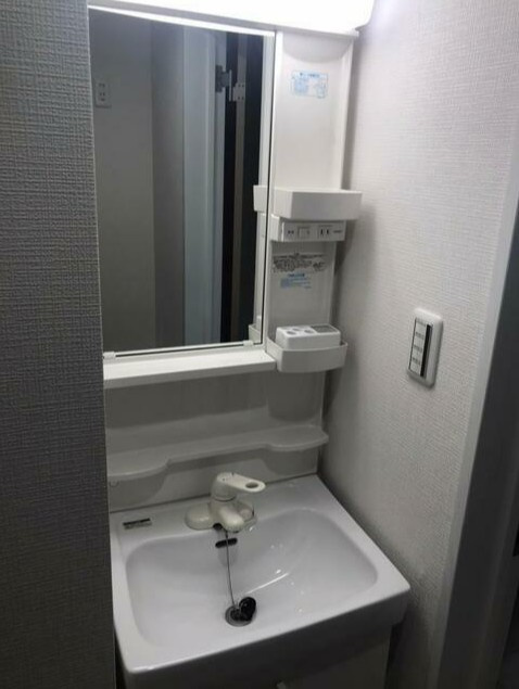 クラブレジデンス読売ランド前の洗面所