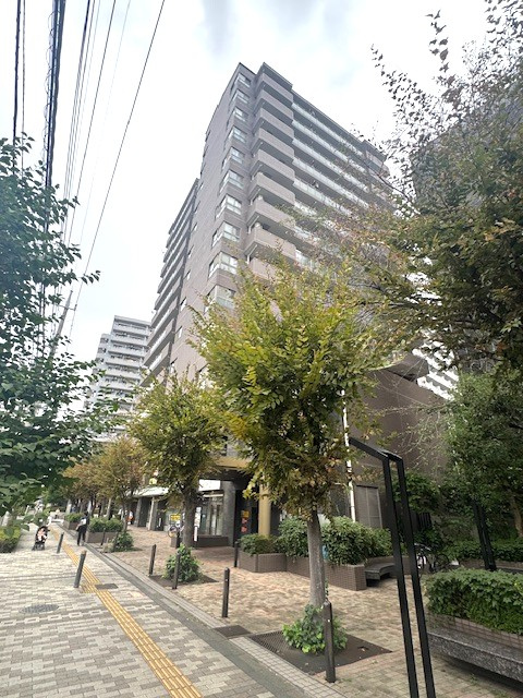 【その他】の画像