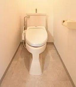 【トイレ】 | カスタリア新宿七丁目 | 落ち着いた色調のトイレです