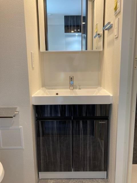 Ｓ－ＲＥＳＩＤＥＮＣＥ川口Ｌｕｃｈｉａの洗面所