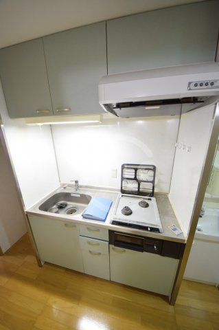 ロイヤルキャッスルのキッチン|ロイヤルキャッスル　2口ガスシステムキッチン