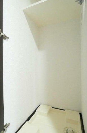 ミルーナヒルズ錦糸町の設備|洗濯機置場