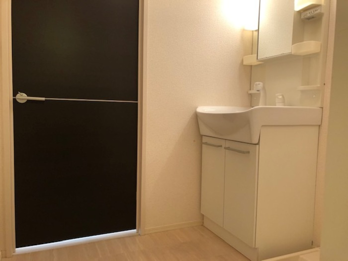 セジュール・パルティノスの洗面所|コンパクトで使いやすい洗面所