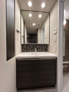 ザ・パークハビオ江坂公園の独立洗面台|独立洗面台です