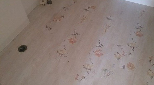 アネックスカミサワＡのその他|イメージ