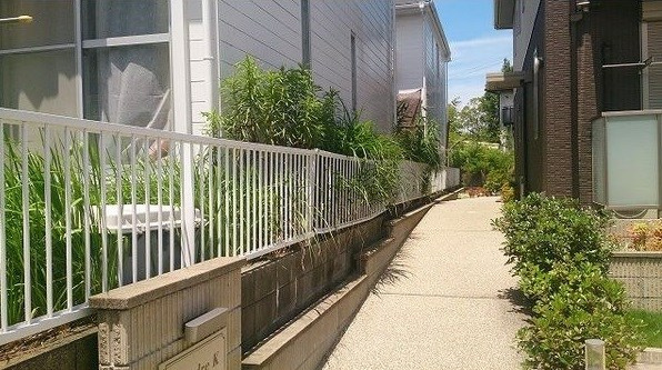 アネックスカミサワＡの外観