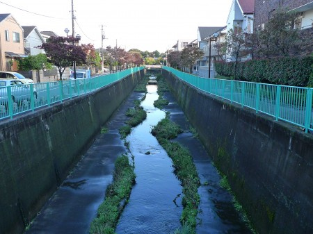 スカイコート久我山の周辺