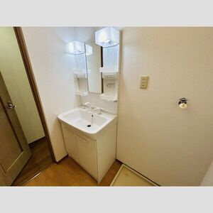 DUPLEX 国王10Bの洗面所