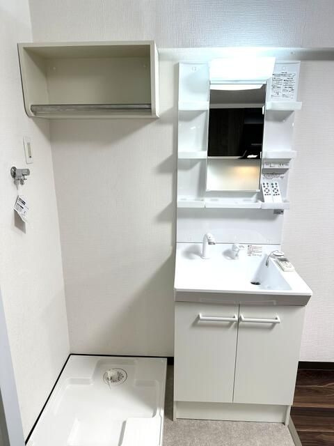 ドエル早崎の洗面所